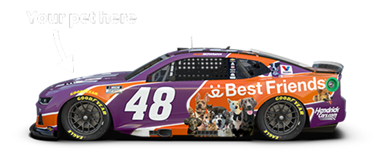 The Ally 48 car decorated in purple and orange with the text your pet here and an arrow pointing at the hood